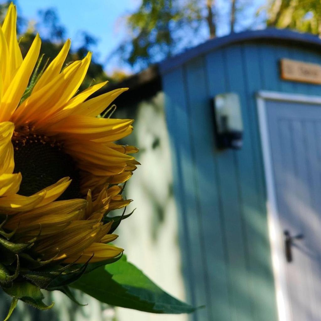 Wooler Hostel And Shepherds Huts 外观 照片
